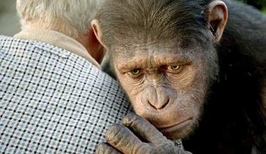 Rise of the Planet of the Apes